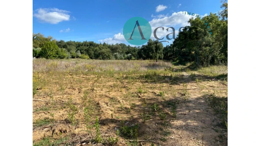 Terreno para Venda em Areias e Pias Foto 4
