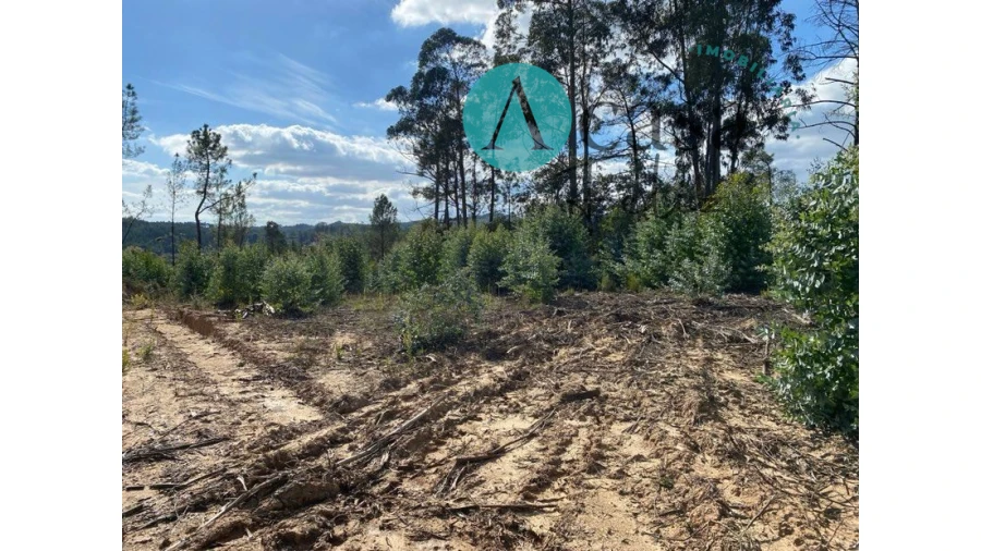 Terreno para Venda em Areias e Pias Foto 3