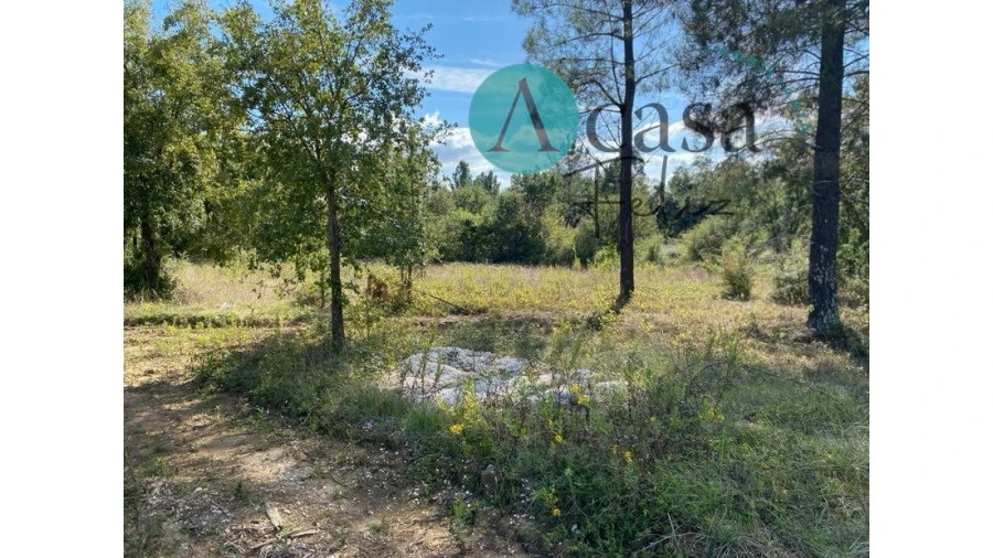 Terreno para Venda em Areias e Pias Foto 6