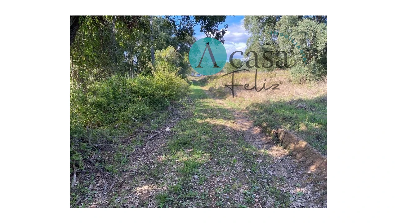 Terreno para Venda em Areias e Pias Foto 8