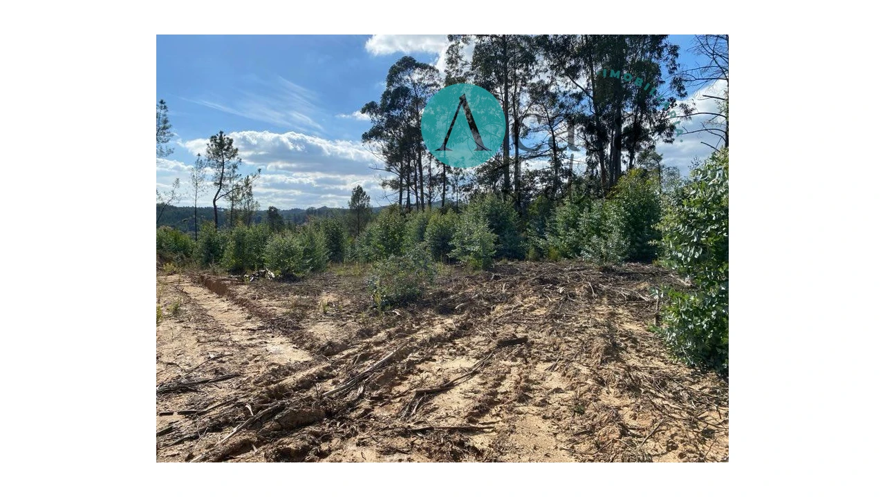 Terreno para Venda em Areias e Pias Foto 3