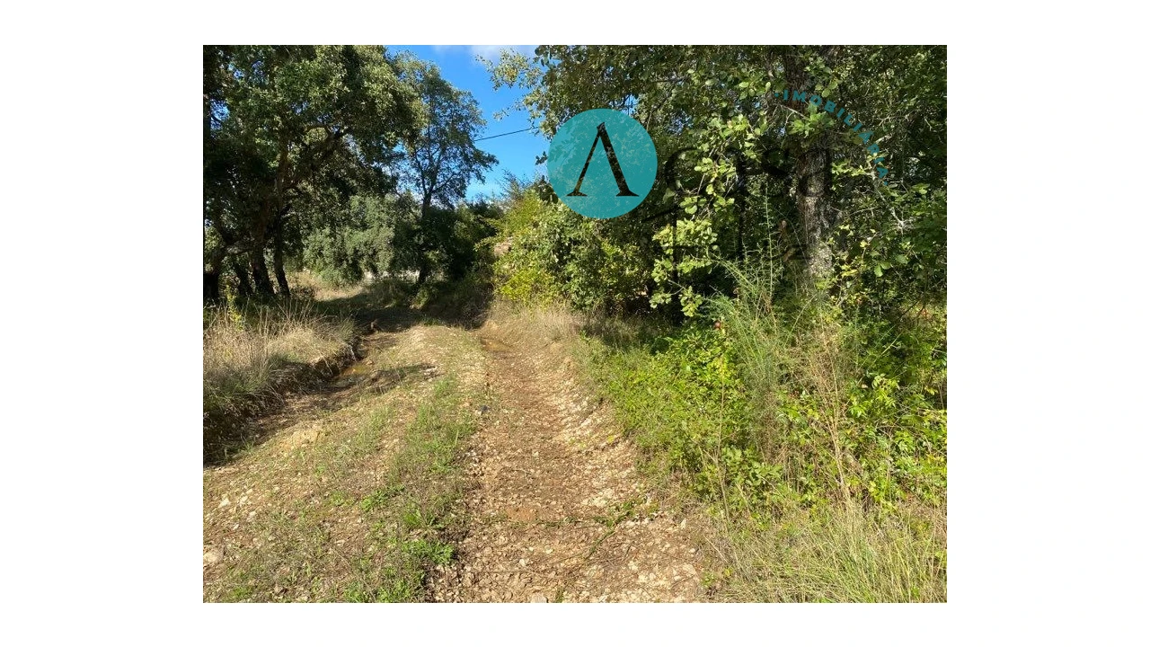 Terreno para Venda em Areias e Pias Foto 9