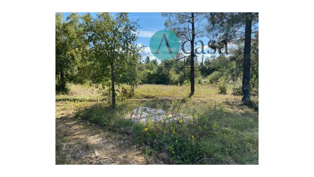 Terreno para Venda em Areias e Pias Foto 6