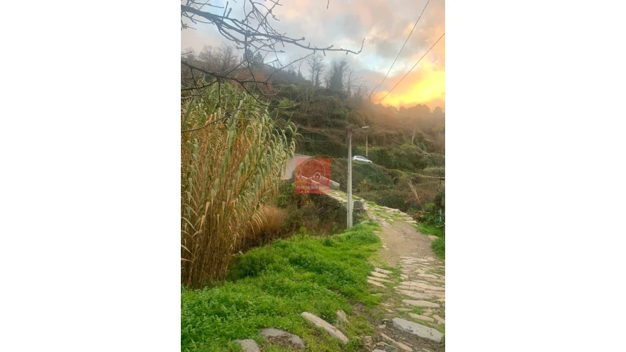 Moradia T1 para Venda em Moura Morta e Vinhós Foto 3