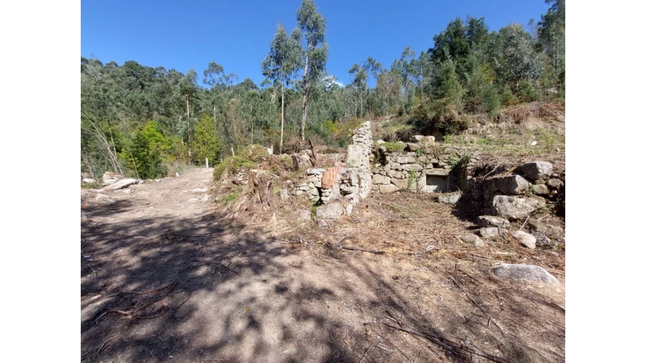 Terreno para Venda em Vilela, Seramil e Paredes Secas Foto 10