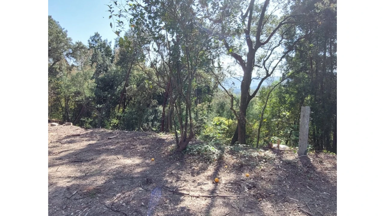 Terreno para Venda em Vilela, Seramil e Paredes Secas Foto 2