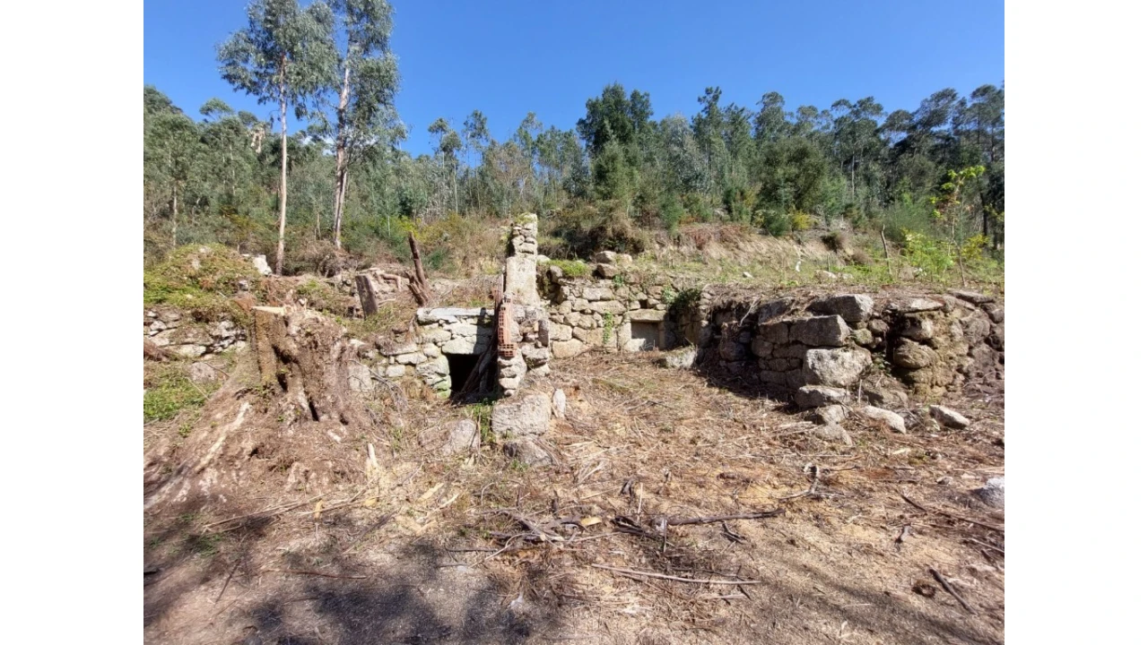 Terreno para Venda em Vilela, Seramil e Paredes Secas Foto 1