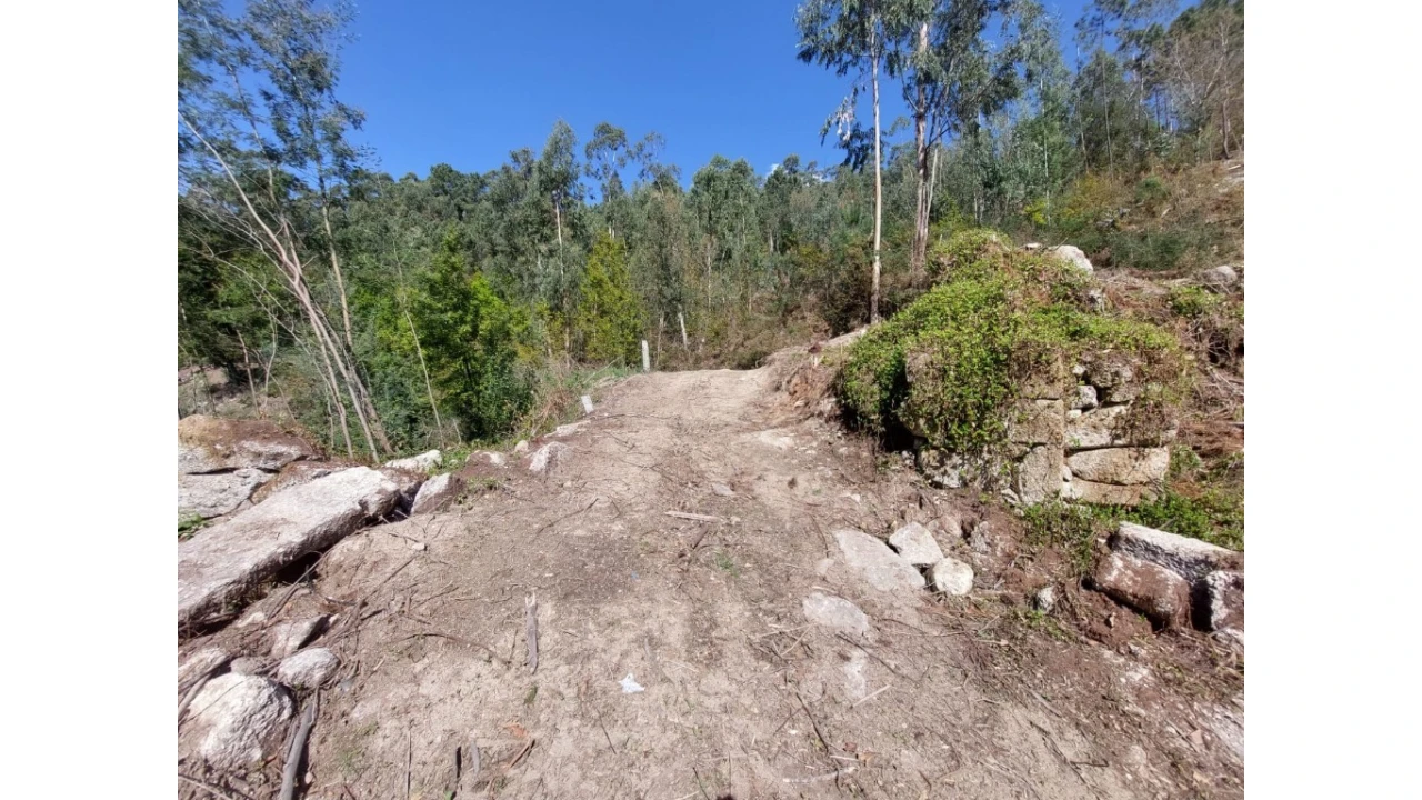 Terreno para Venda em Vilela, Seramil e Paredes Secas Foto 9