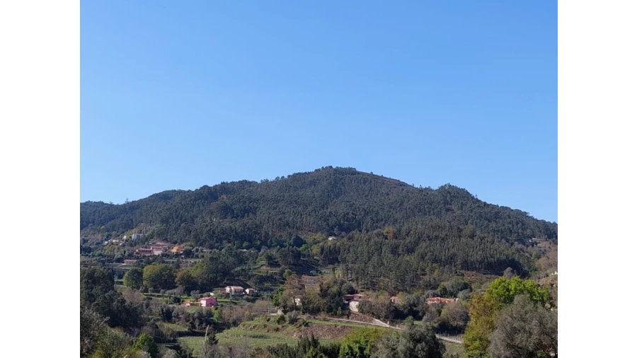 Terreno para Venda em Vilela, Seramil e Paredes Secas Foto 8
