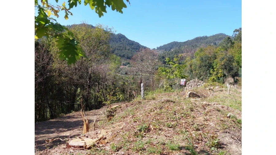 Terreno para Venda em Vilela, Seramil e Paredes Secas Foto 3