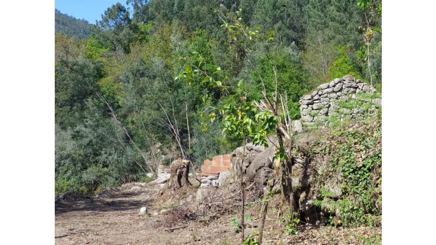 Terreno para Venda em Vilela, Seramil e Paredes Secas Foto 7