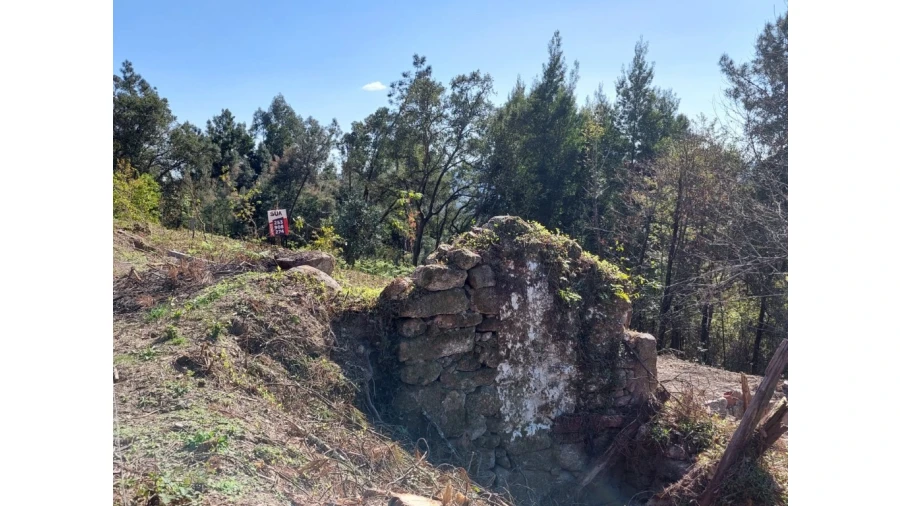 Terreno para Venda em Vilela, Seramil e Paredes Secas Foto 4