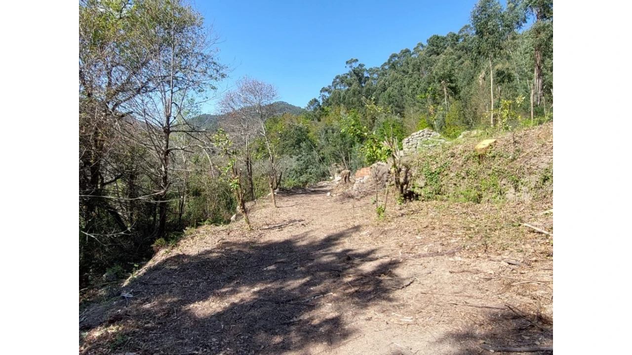 Terreno para Venda em Vilela, Seramil e Paredes Secas Foto 6