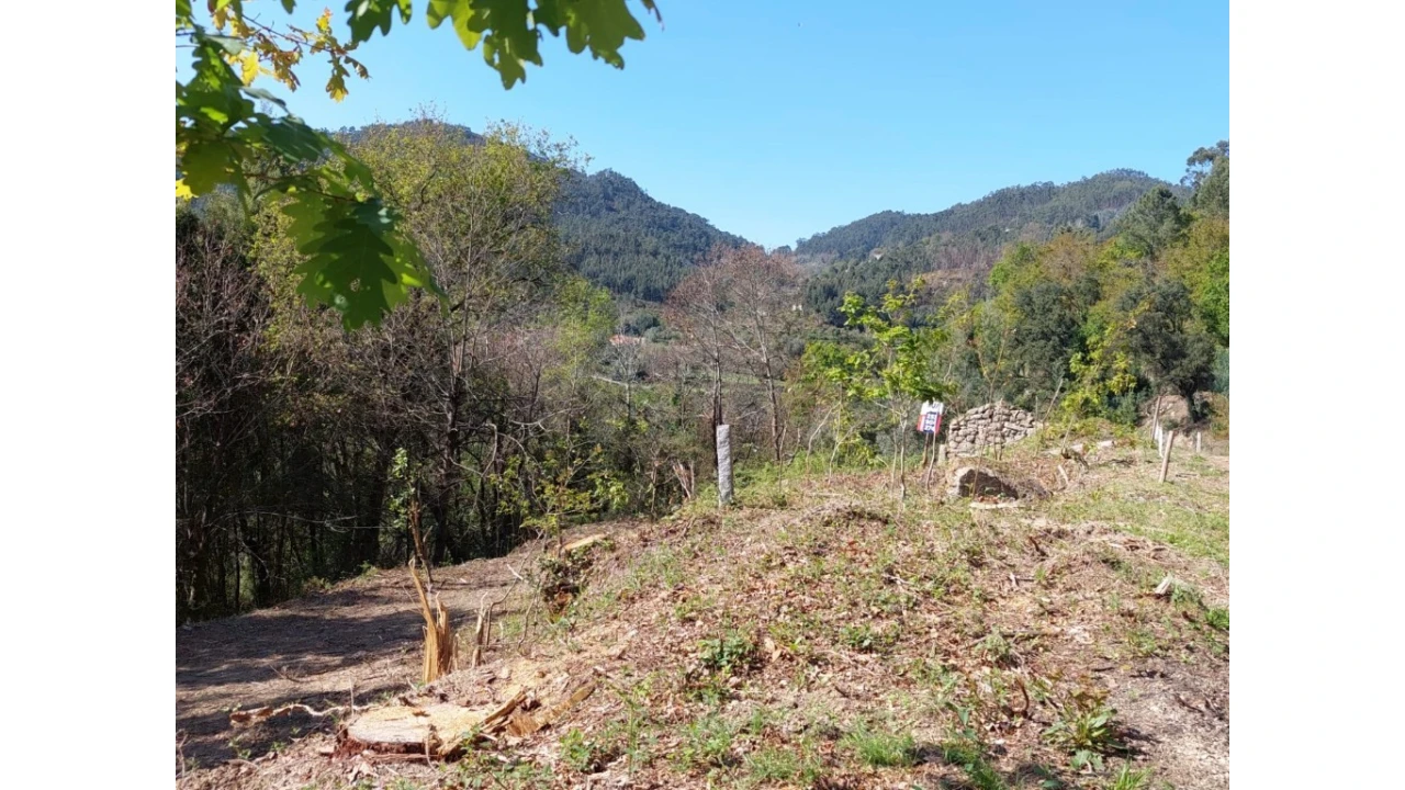 Terreno para Venda em Vilela, Seramil e Paredes Secas Foto 3