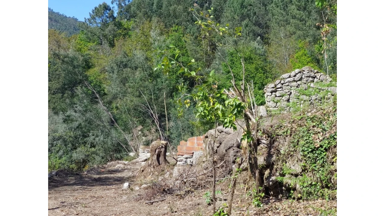 Terreno para Venda em Vilela, Seramil e Paredes Secas Foto 7