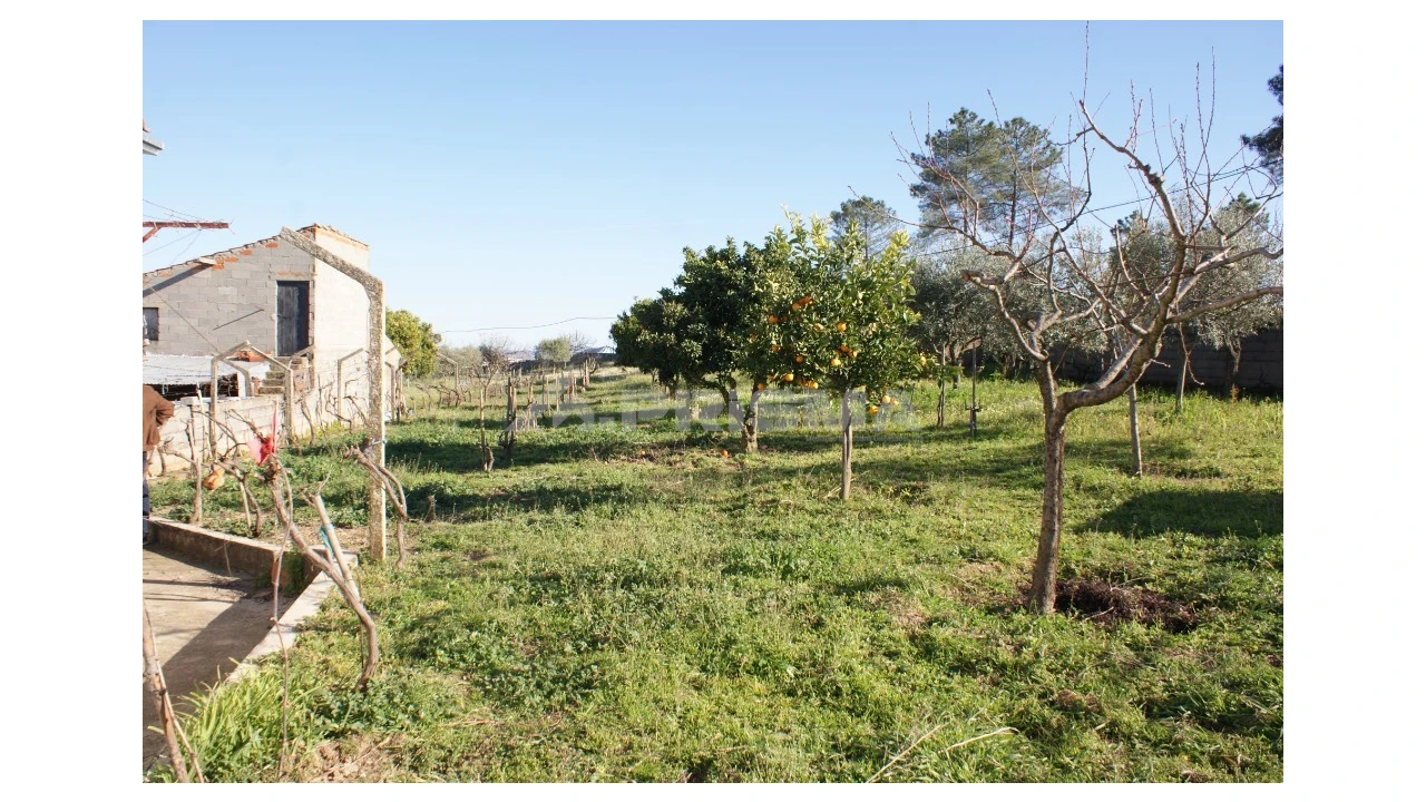 Terreno para Venda em Cebolais de Cima e Retaxo Foto 6