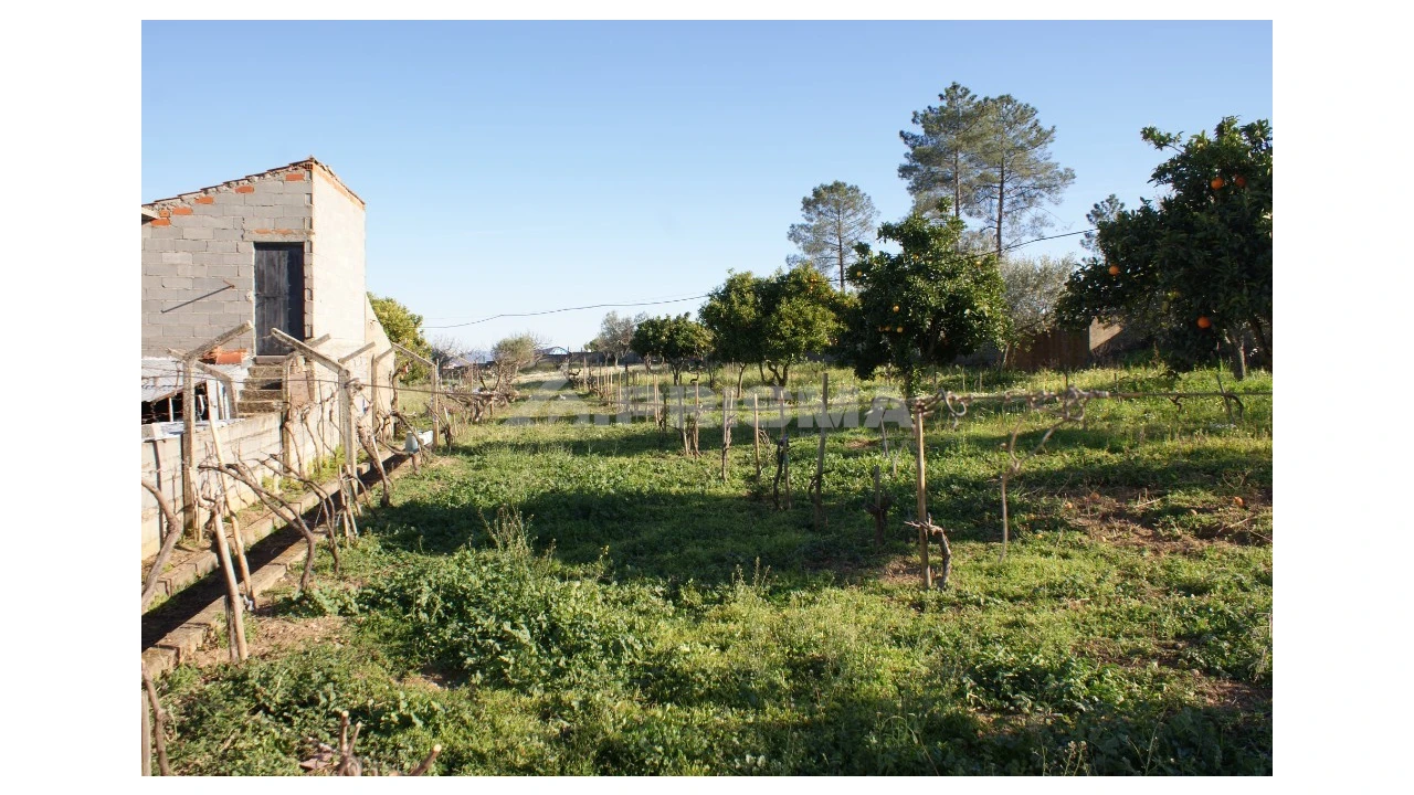 Terreno para Venda em Cebolais de Cima e Retaxo Foto 4