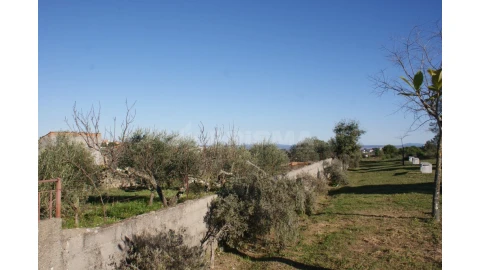 Terreno para Venda em Cebolais de Cima e Retaxo