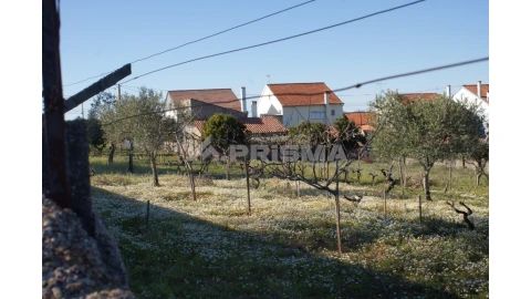 Terreno para Venda em Cebolais de Cima e Retaxo