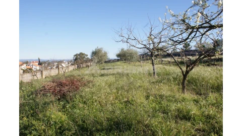 Terreno para Venda em Cebolais de Cima e Retaxo