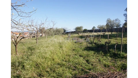Terreno para Venda em Cebolais de Cima e Retaxo