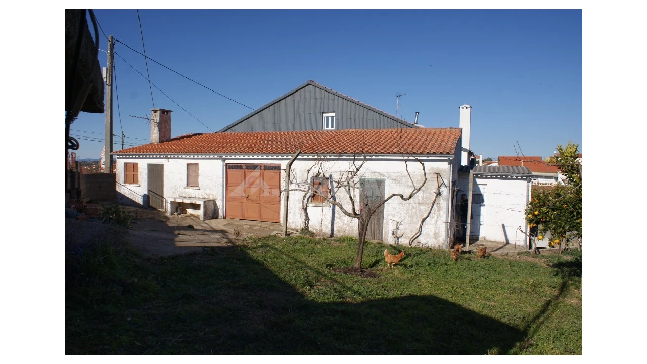 Terreno para Venda em Cebolais de Cima e Retaxo Foto 13