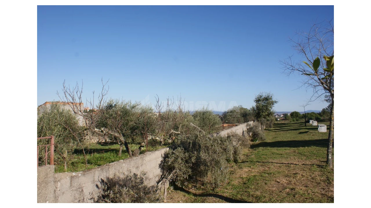 Terreno para Venda em Cebolais de Cima e Retaxo Foto 5