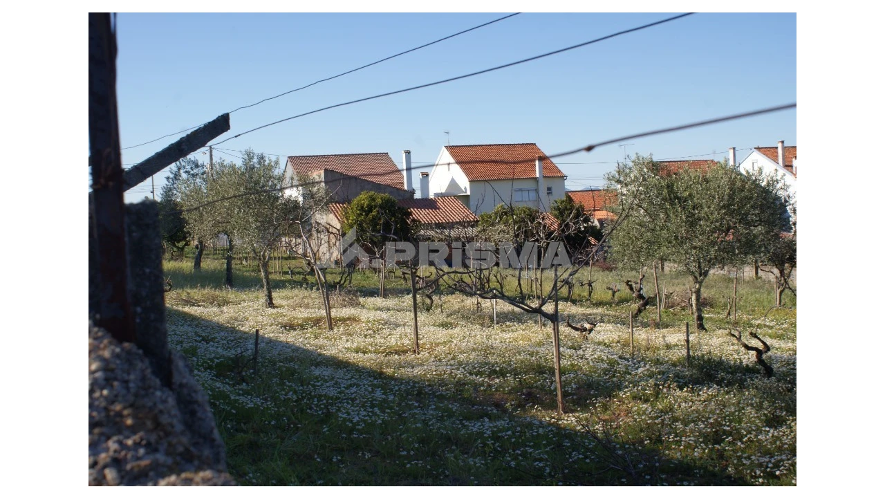Terreno para Venda em Cebolais de Cima e Retaxo Foto 12