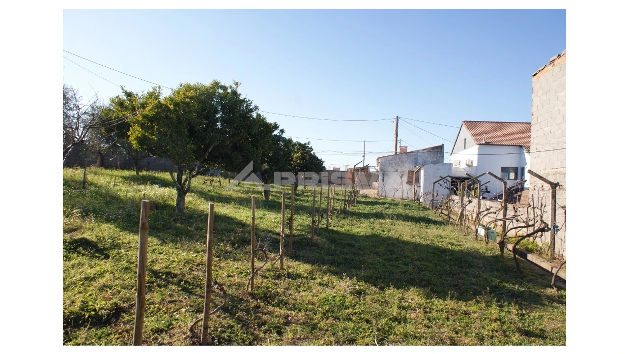 Terreno para Venda em Cebolais de Cima e Retaxo Foto 3