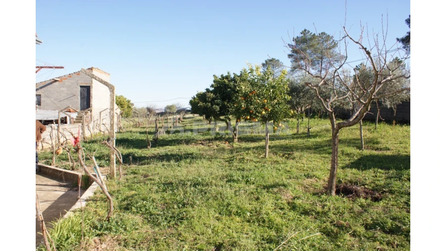 Terreno para Venda em Cebolais de Cima e Retaxo Foto 6