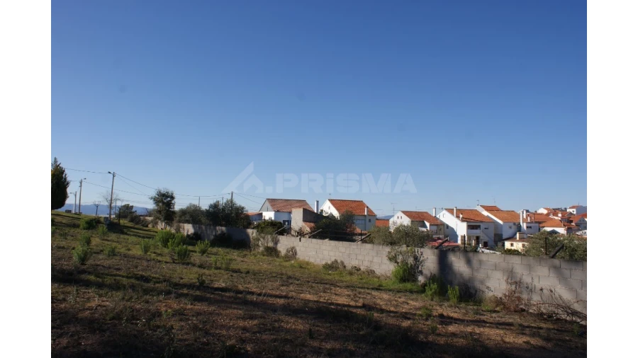 Terreno para Venda em Cebolais de Cima e Retaxo Foto 7