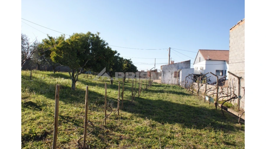 Terreno para Venda em Cebolais de Cima e Retaxo Foto 3