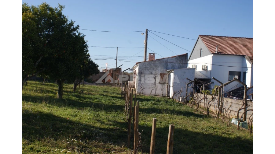 Terreno para Venda em Cebolais de Cima e Retaxo Foto 8