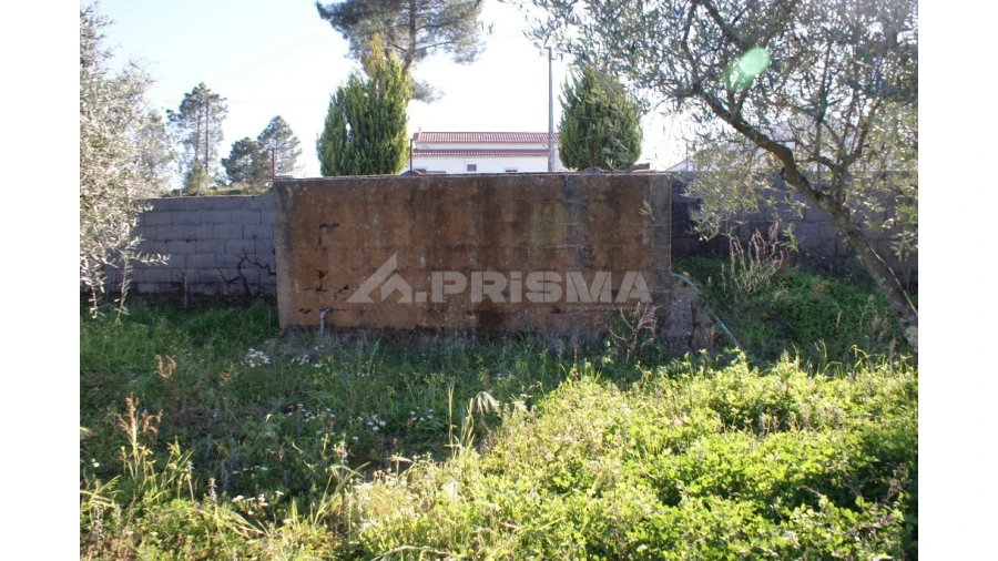 Terreno para Venda em Cebolais de Cima e Retaxo Foto 9