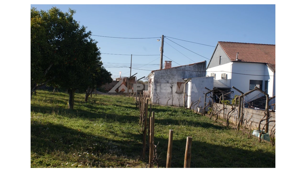 Terreno para Venda em Cebolais de Cima e Retaxo Foto 8