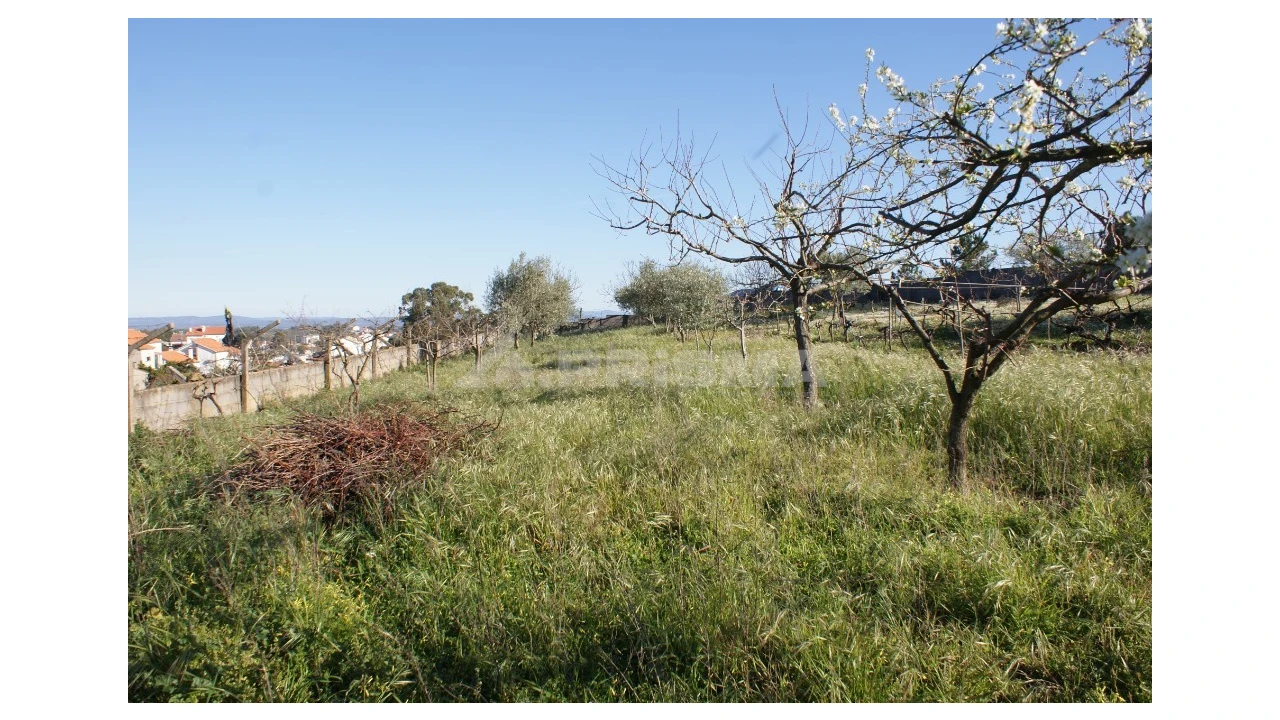 Terreno para Venda em Cebolais de Cima e Retaxo Foto 2