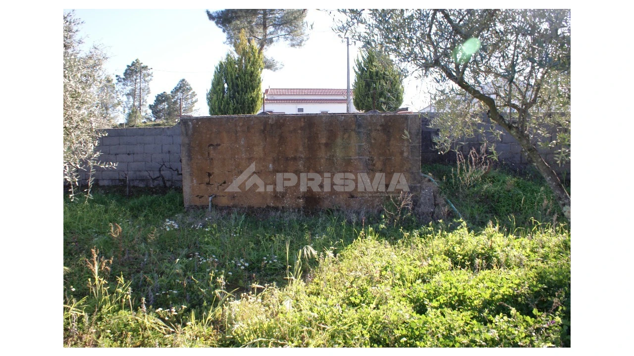 Terreno para Venda em Cebolais de Cima e Retaxo Foto 9