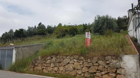 Terreno para Venda em Ceira