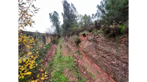 Terreno para Venda em Almalagues