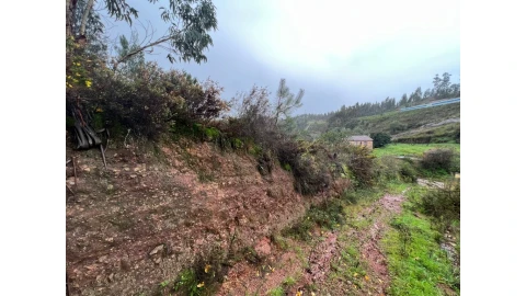 Terreno para Venda em Almalagues