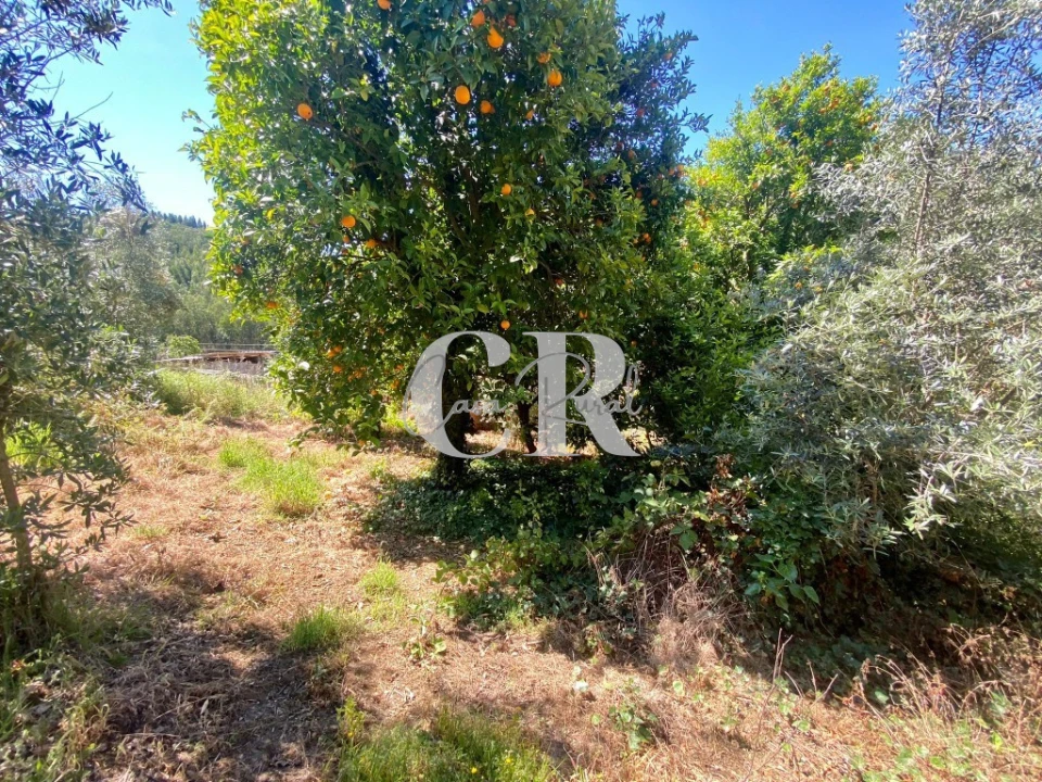 Moradia T2 para Venda em Figueiró dos Vinhos e Bairradas Foto 31