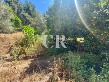 Moradia T2 para Venda em Figueiró dos Vinhos e Bairradas