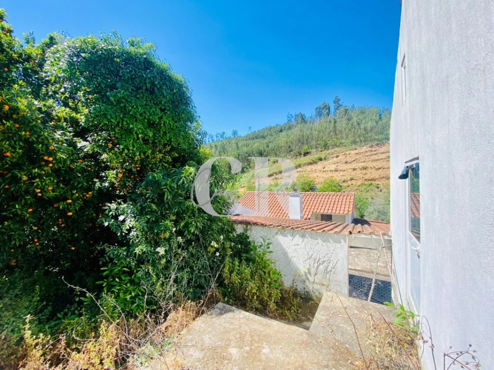 Moradia T2 para Venda em Figueiró dos Vinhos e Bairradas Foto 30