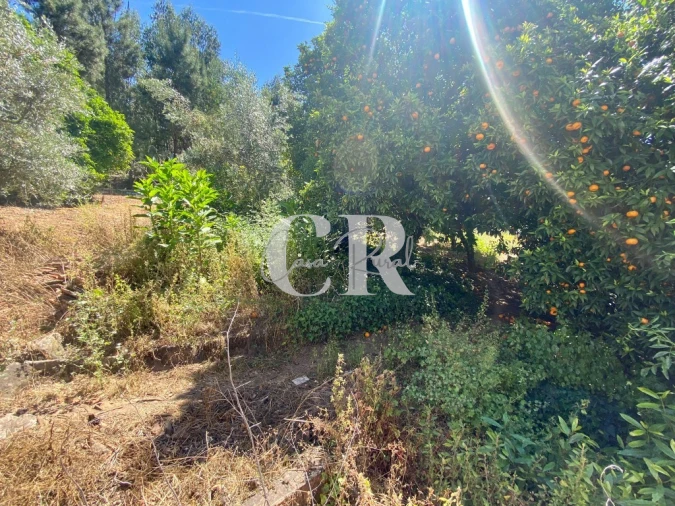 Moradia T2 para Venda em Figueiró dos Vinhos e Bairradas Foto 32