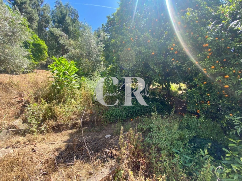 Moradia T2 para Venda em Figueiró dos Vinhos e Bairradas Foto 32