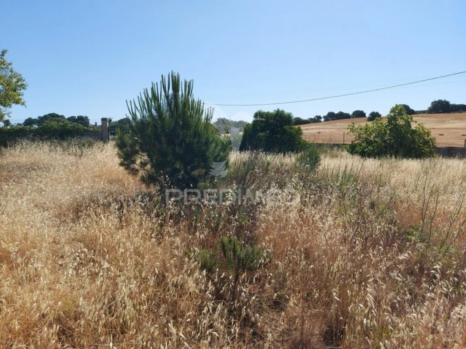 Terreno para Venda em Bensafrim e Barão de São João Foto 2