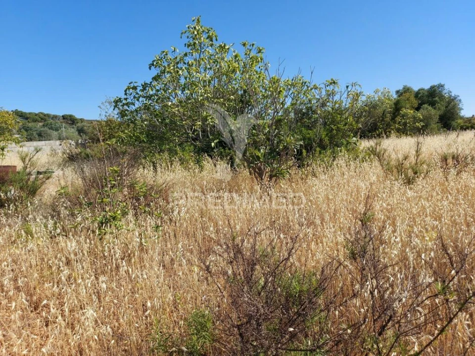 Terreno para Venda em Bensafrim e Barão de São João Foto 15