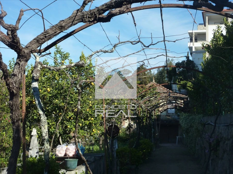 Quinta T4 para Venda em Rio de Moinhos Foto 28