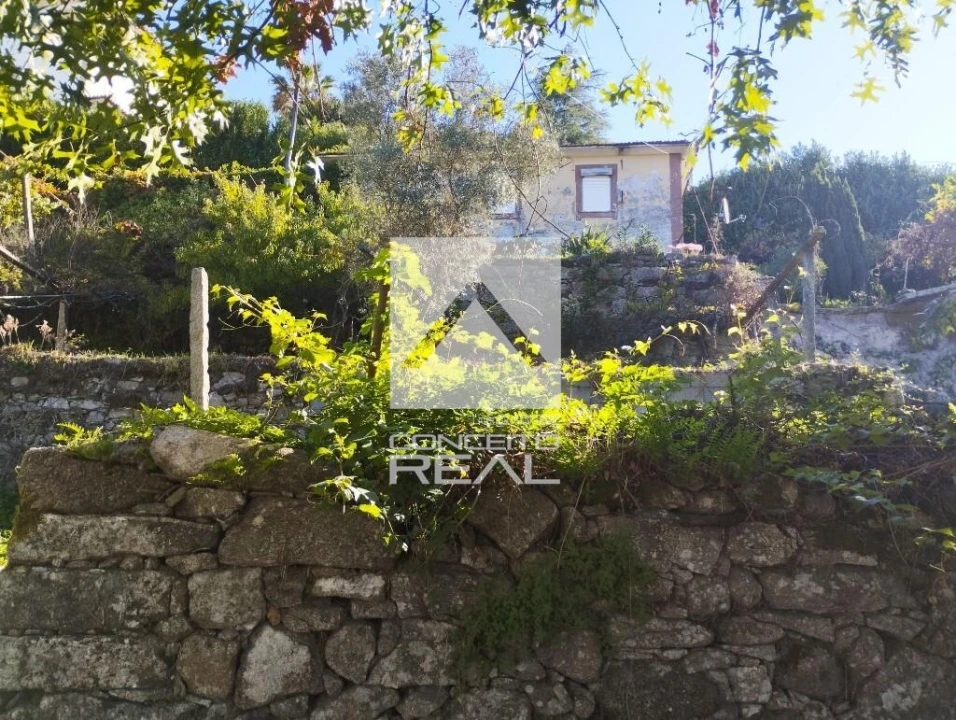 Quinta T4 para Venda em Rio de Moinhos Foto 15