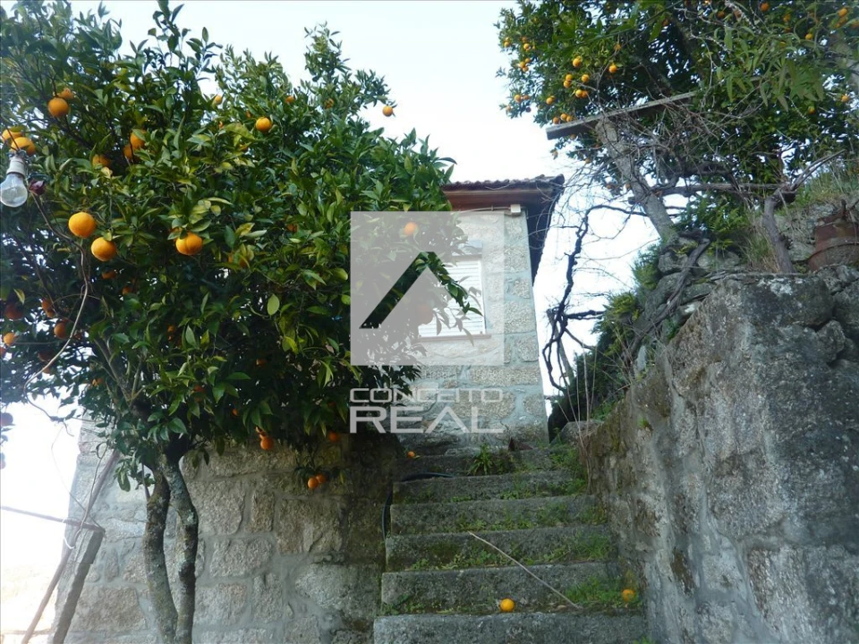 Quinta T4 para Venda em Rio de Moinhos Foto 25